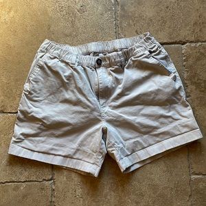 Chubbies mens shorts